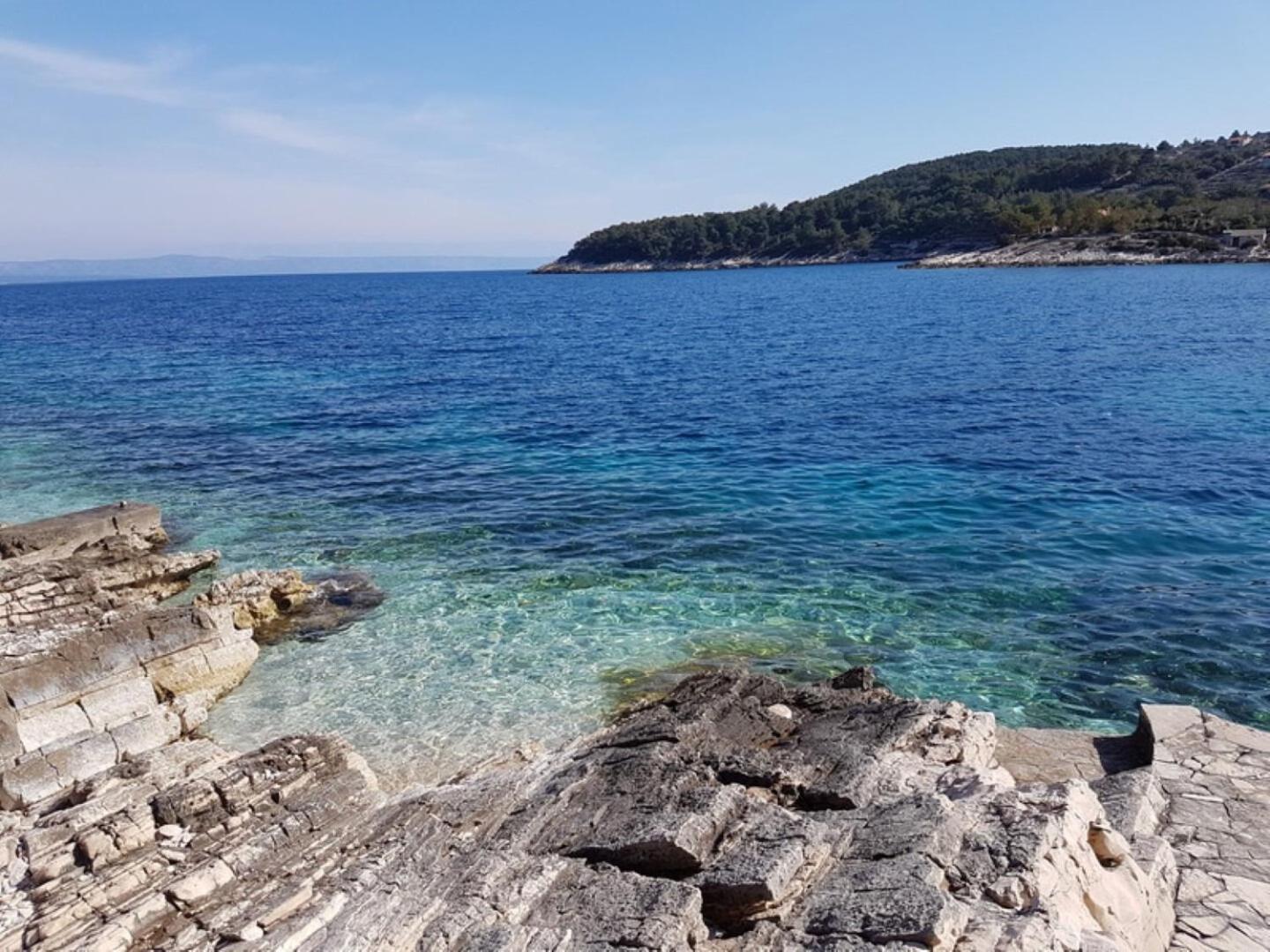 House Villa Bistrana Vela Luka Esterno foto